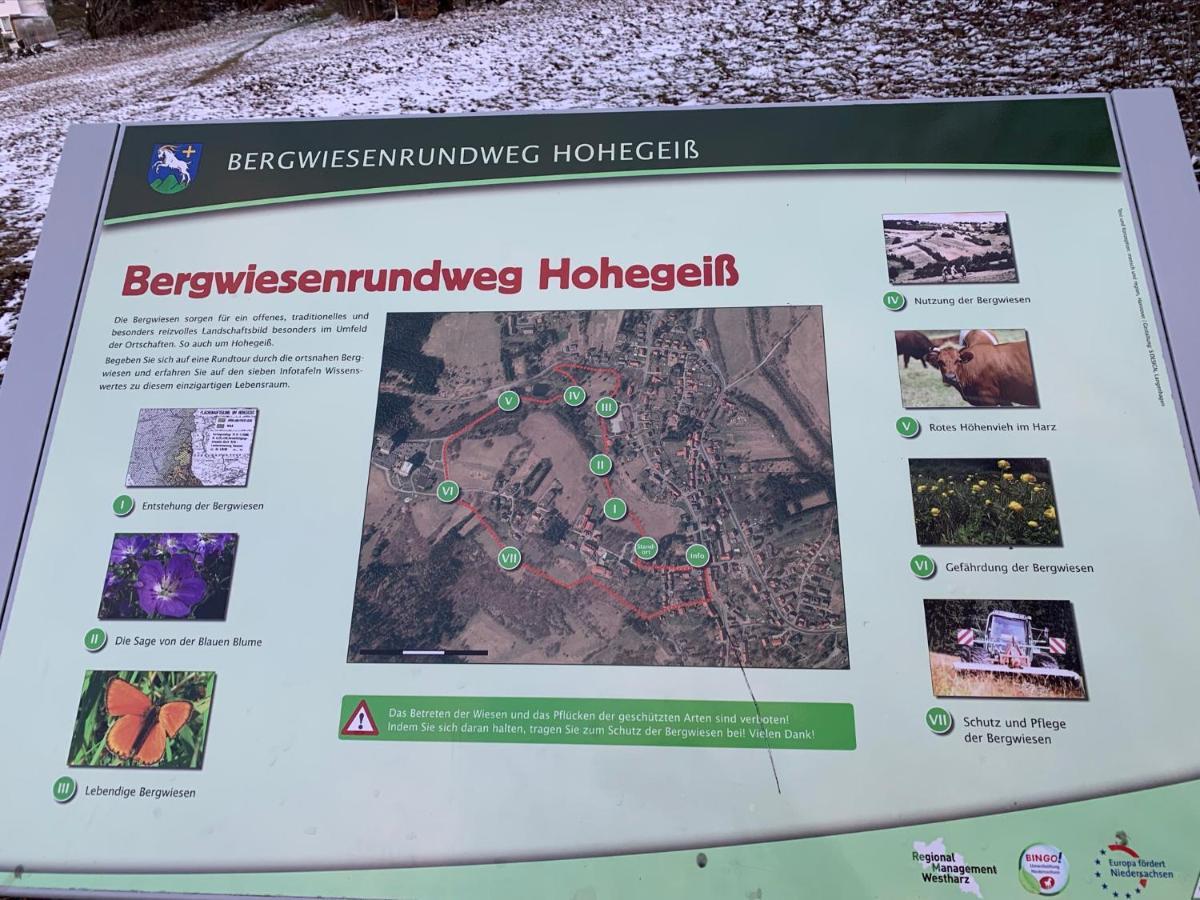 Gemuetliche Ferienwohnung Harz Braunlage Hohegeiss Eksteriør billede
