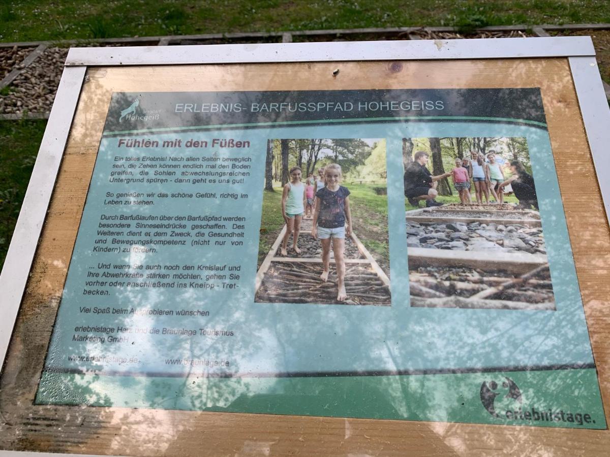 Gemuetliche Ferienwohnung Harz Braunlage Hohegeiss Eksteriør billede